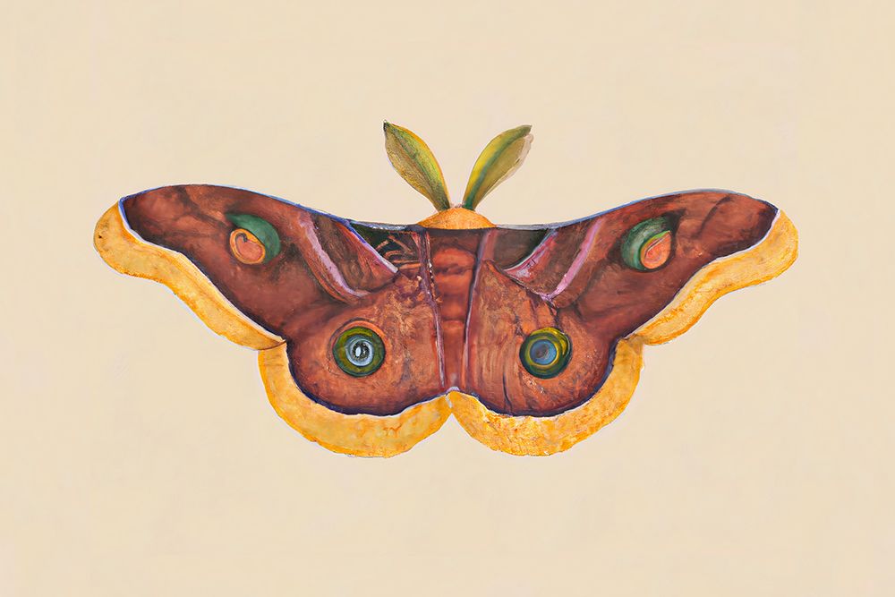 Butterfly Effect art print by Merel Takken for $57.95 CAD