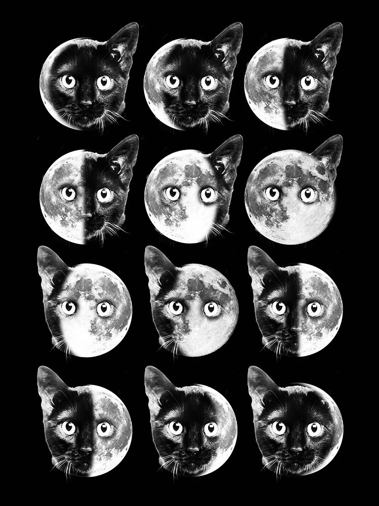 Cat Moon Phases art print by Dikhotomy for $57.95 CAD