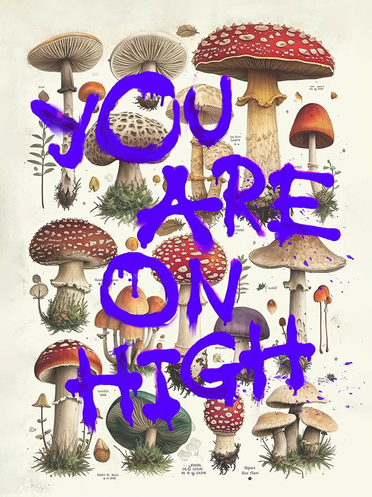 You Are On High art print by Dikhotomy for $57.95 CAD