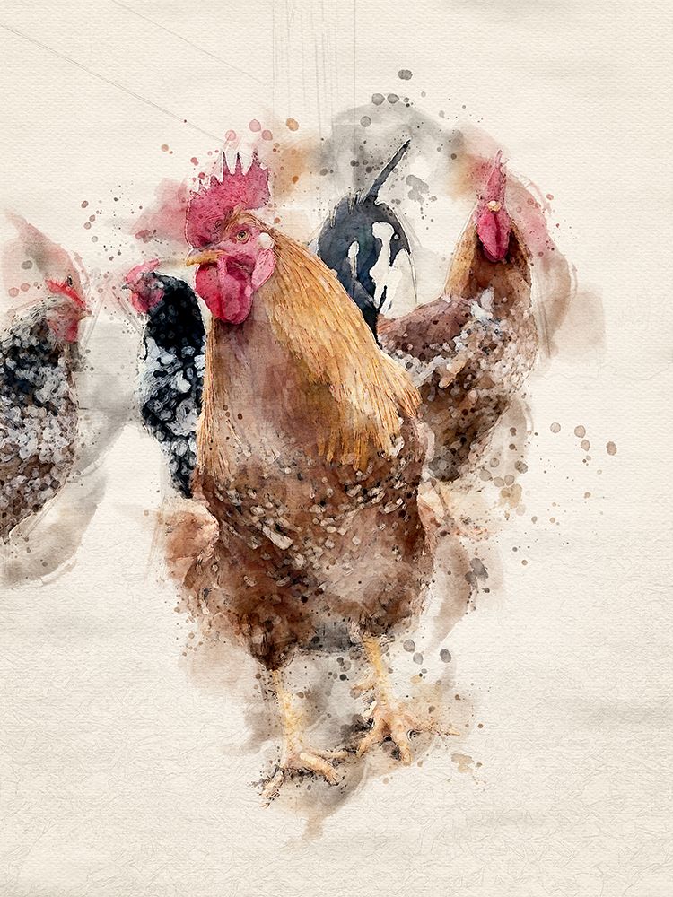 Abstract Rooster Watercolor Art art print by Arno Du Toit for $57.95 CAD