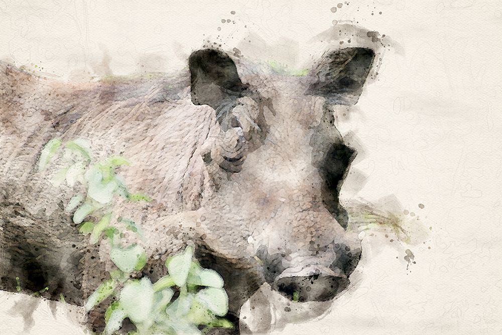 Abstract African Warthog Watercolor Art art print by Arno Du Toit for $57.95 CAD