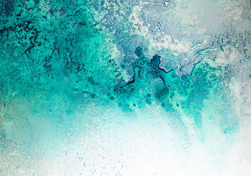 Turquoise Whispering art print by Petra de Meikle for $57.95 CAD