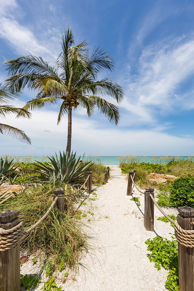 Path to the beach art print by Melanie Viola for $57.95 CAD