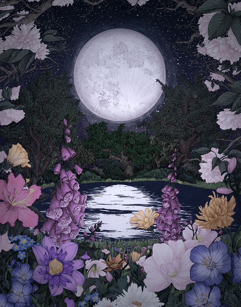 Moon Garden Reflections art print by E.C. Mazur for $57.95 CAD