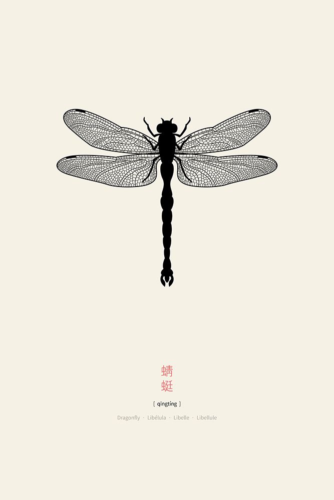 Dragonfly art print by Thoth Adan for $57.95 CAD