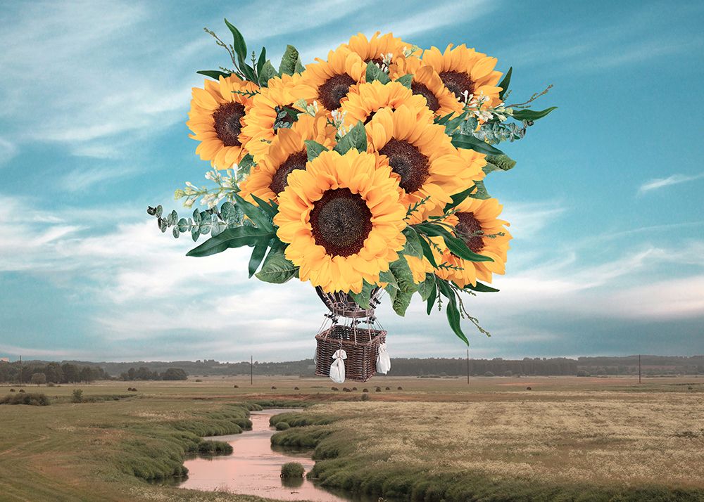 Sunflower air balloon art print by Salome Zhividze for $57.95 CAD