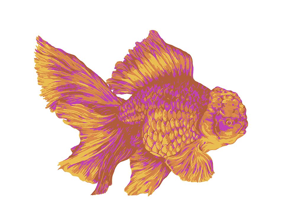 Blueberry Goldfish art print by Max Lunden for $57.95 CAD