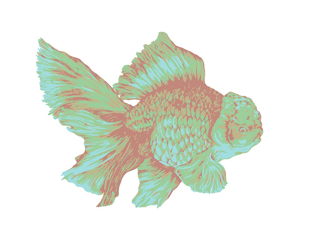 Blueberry Goldfish art print by Max Lunden for $57.95 CAD