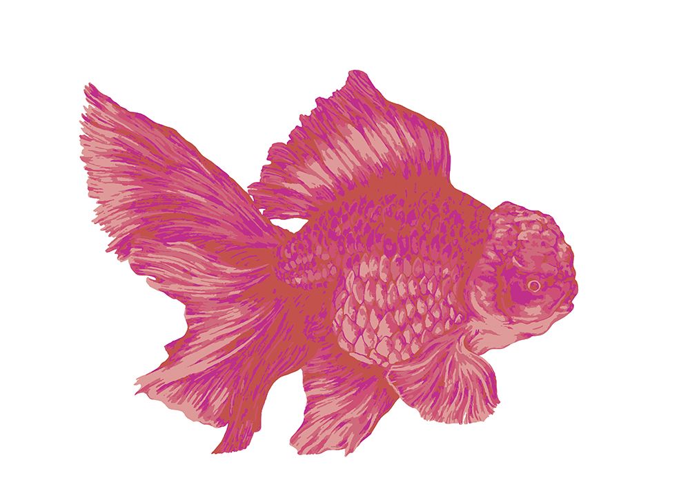 Blueberry Goldfish art print by Max Lunden for $57.95 CAD