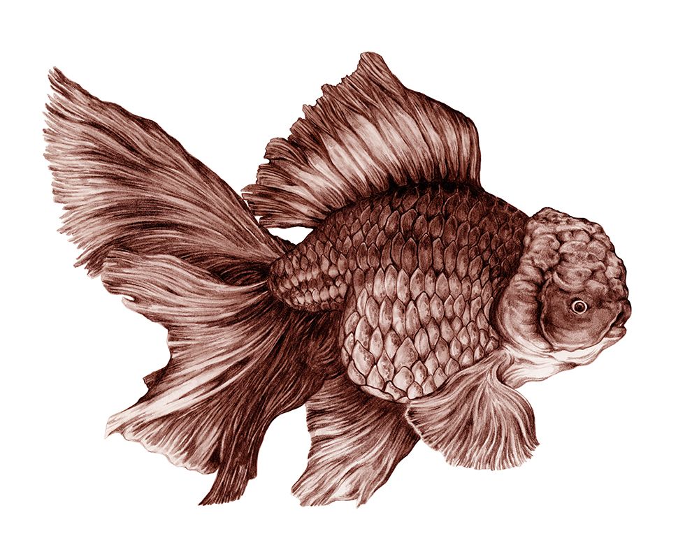 Blueberry Goldfish art print by Max Lunden for $57.95 CAD