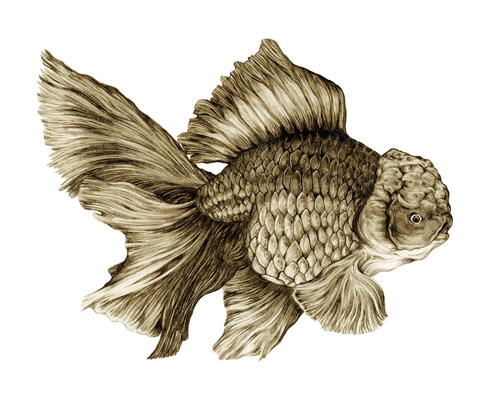 Blueberry Goldfish art print by Max Lunden for $57.95 CAD