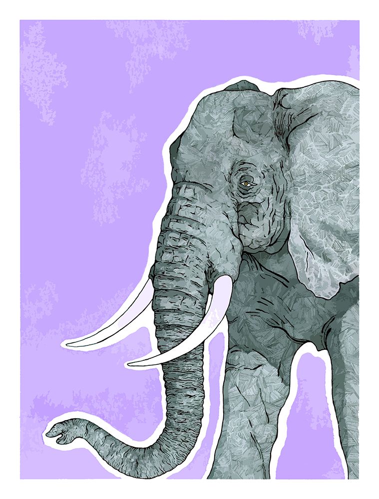 Elephant art print by Max Lunden for $57.95 CAD