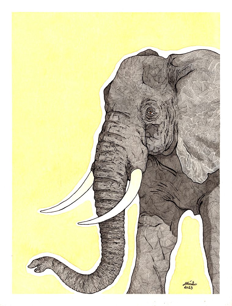 Elephant art print by Max Lunden for $57.95 CAD