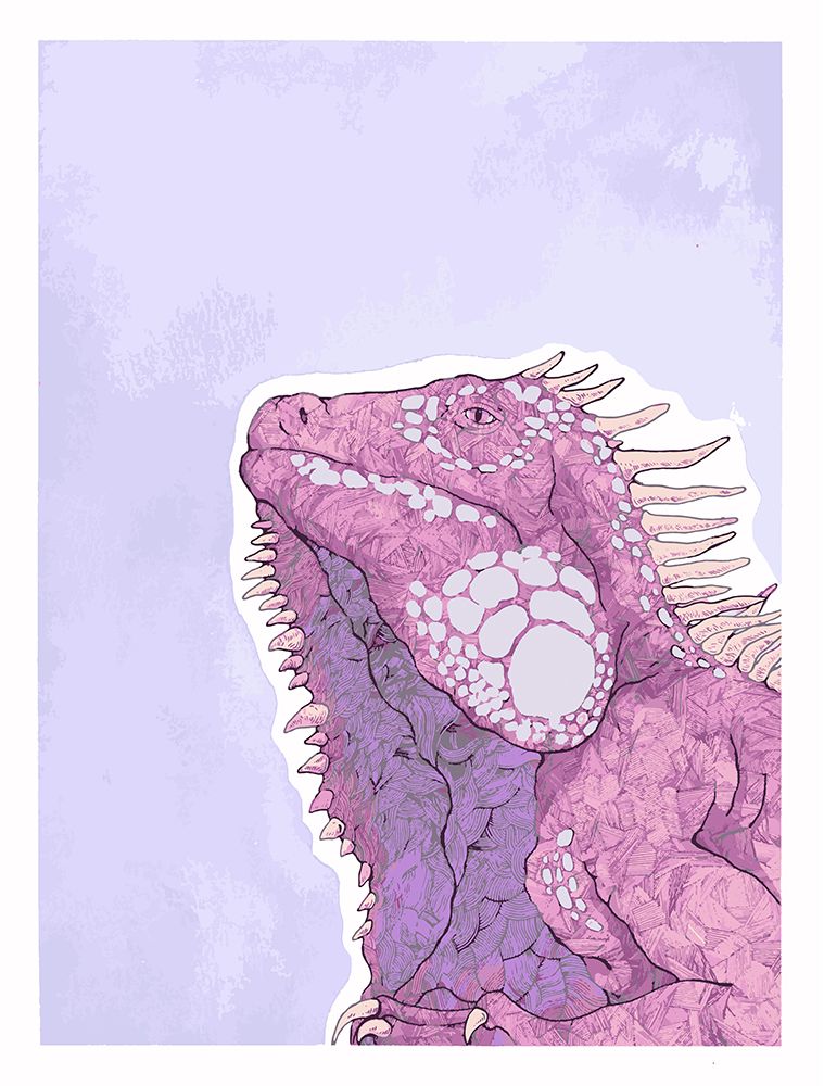 Iguana art print by Max Lunden for $57.95 CAD