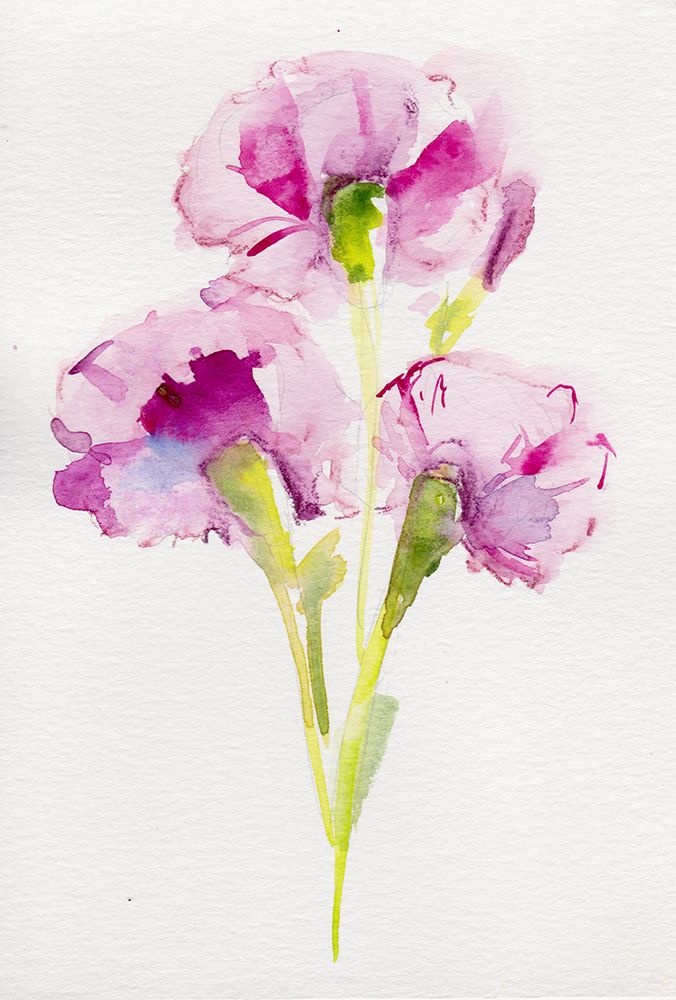 Carnation January art print by Christine Lindstrom for $57.95 CAD