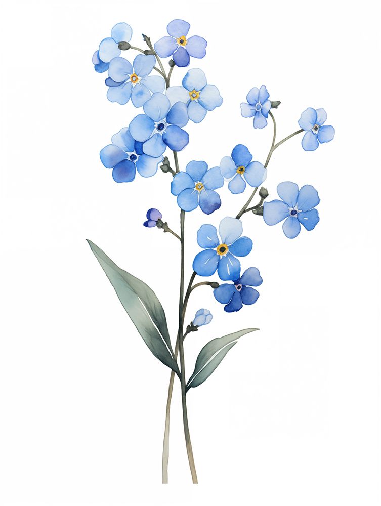 Forget Me Not Flower 2 art print by Christine Lindstrom for $57.95 CAD