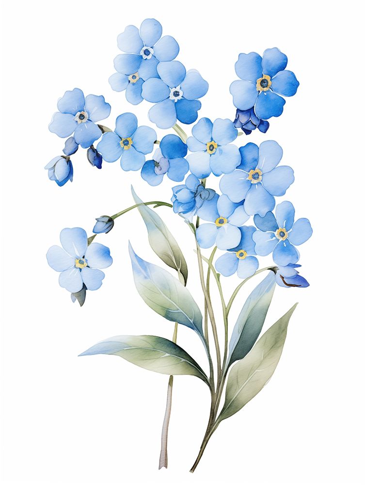 Forget Me Not Flower 3 art print by Christine Lindstrom for $57.95 CAD