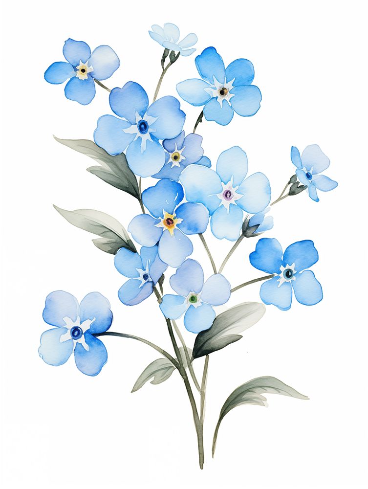 Forget Me Not Flower 4 art print by Christine Lindstrom for $57.95 CAD