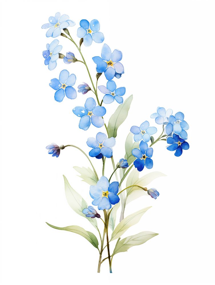 Forget Me Not Flower art print by Christine Lindstrom for $57.95 CAD