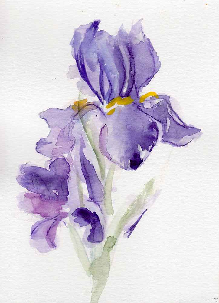 Iris February II art print by Christine Lindstrom for $57.95 CAD