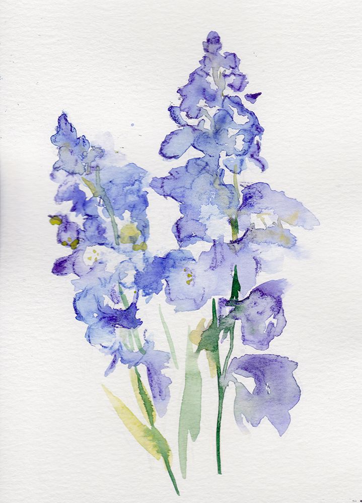 Larkspur July art print by Christine Lindstrom for $57.95 CAD