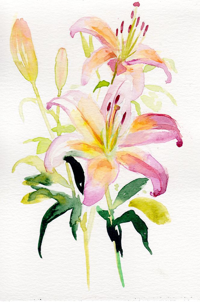 Lily May art print by Christine Lindstrom for $57.95 CAD