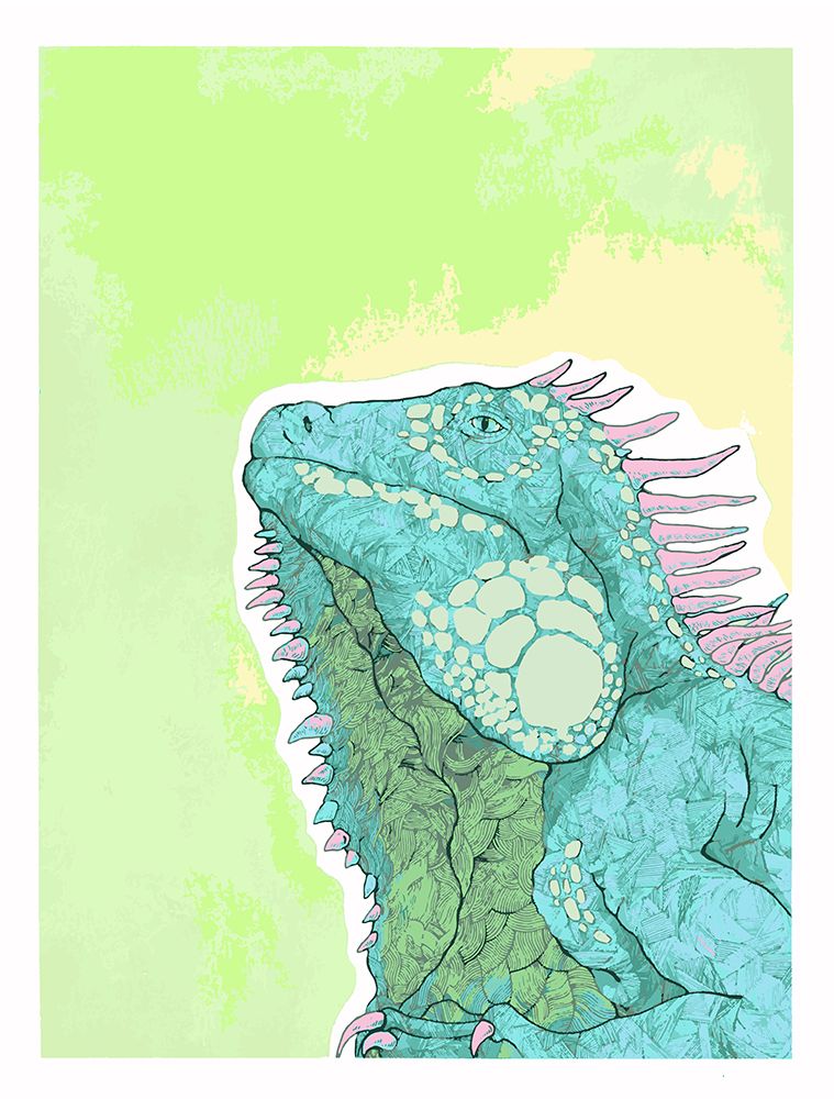 Iguana art print by Max Lunden for $57.95 CAD