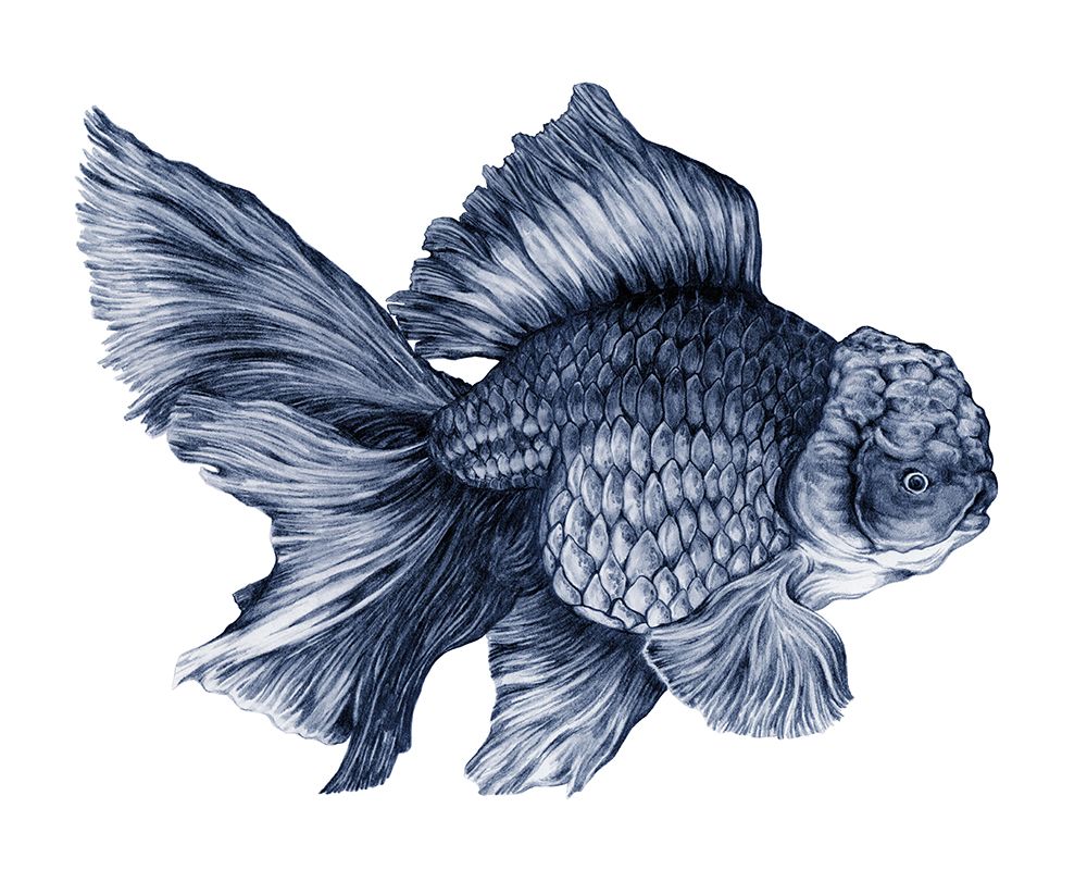 Blueberry Goldfish art print by Max Lunden for $57.95 CAD