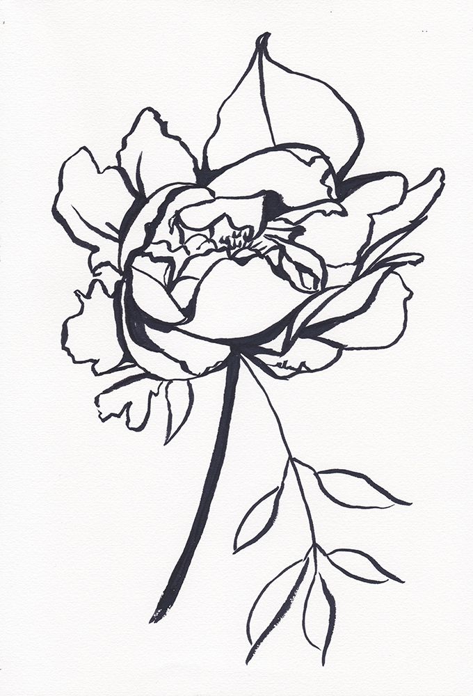 Black and White Peony Small art print by Christine Lindstrom for $57.95 CAD