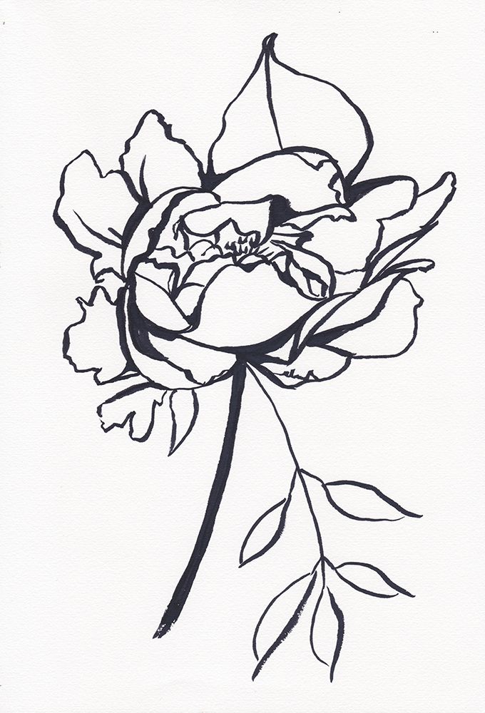 Black and White Peony art print by Christine Lindstrom for $57.95 CAD