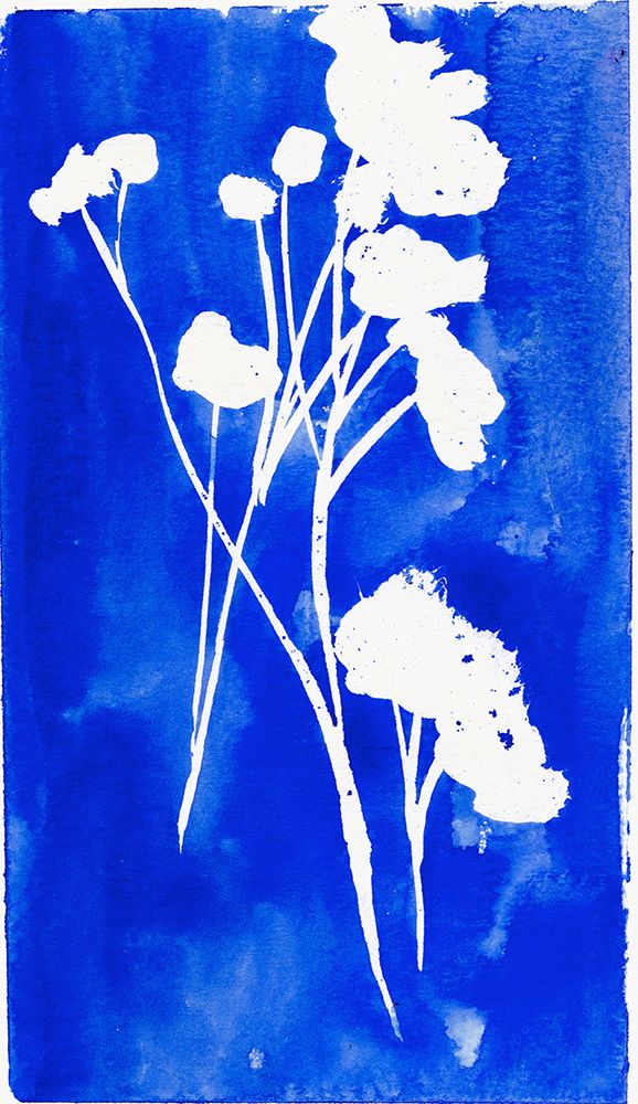 Cyanotype Watercolor Ii art print by Christine Lindstrom for $57.95 CAD