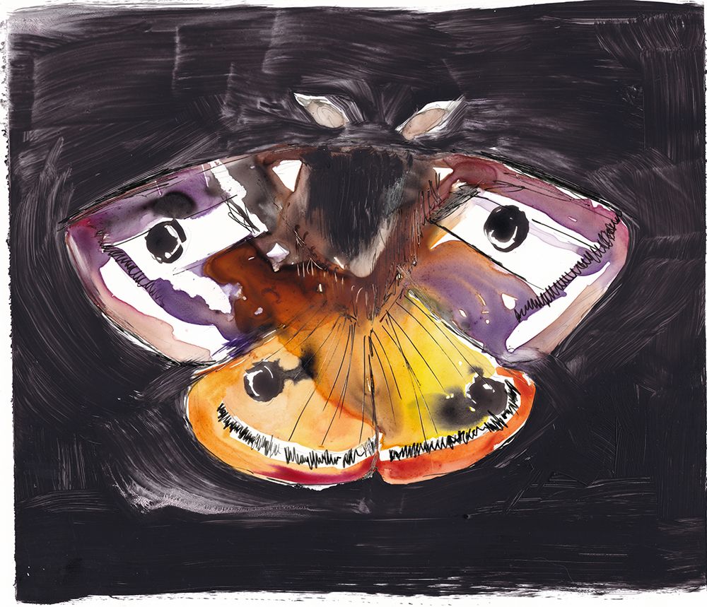 Emporer Moth art print by Christine Lindstrom for $57.95 CAD