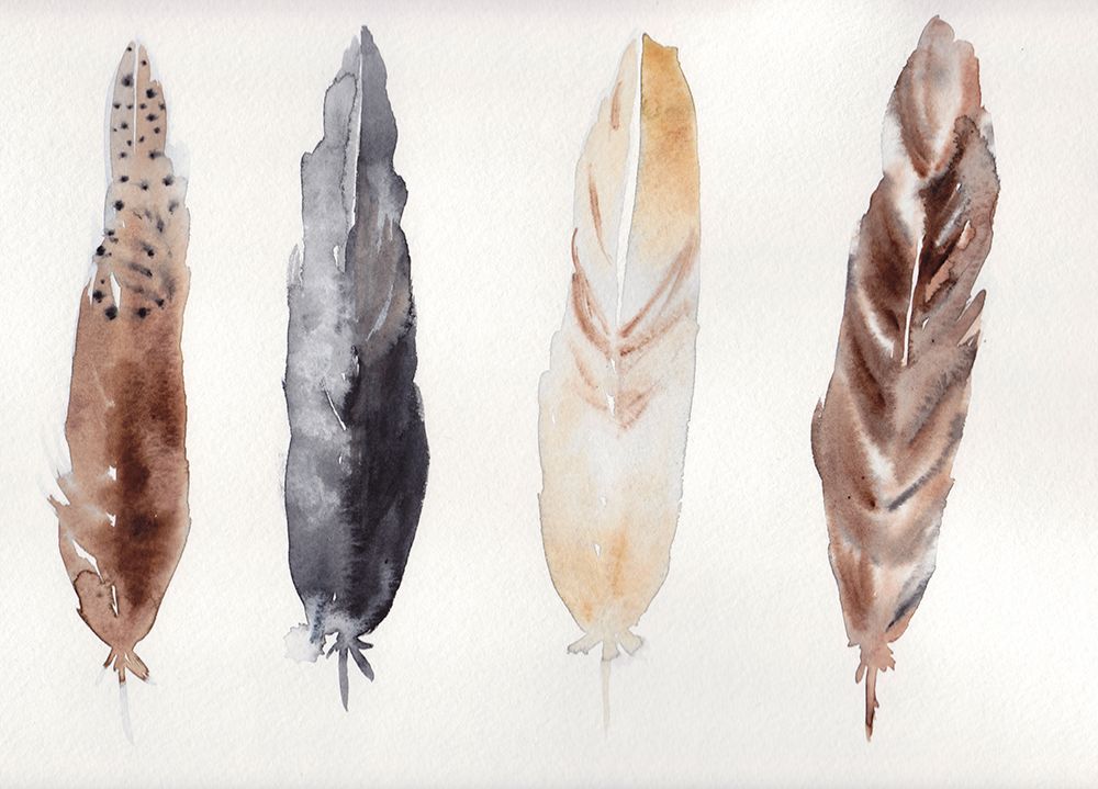 Feathers art print by Christine Lindstrom for $57.95 CAD