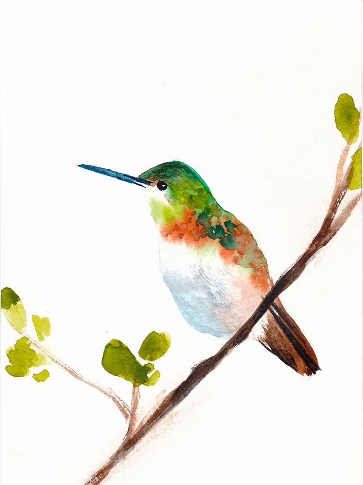 Hummingbird art print by Christine Lindstrom for $57.95 CAD