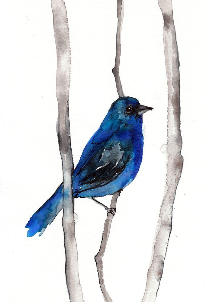 Indigo Bunting art print by Christine Lindstrom for $57.95 CAD