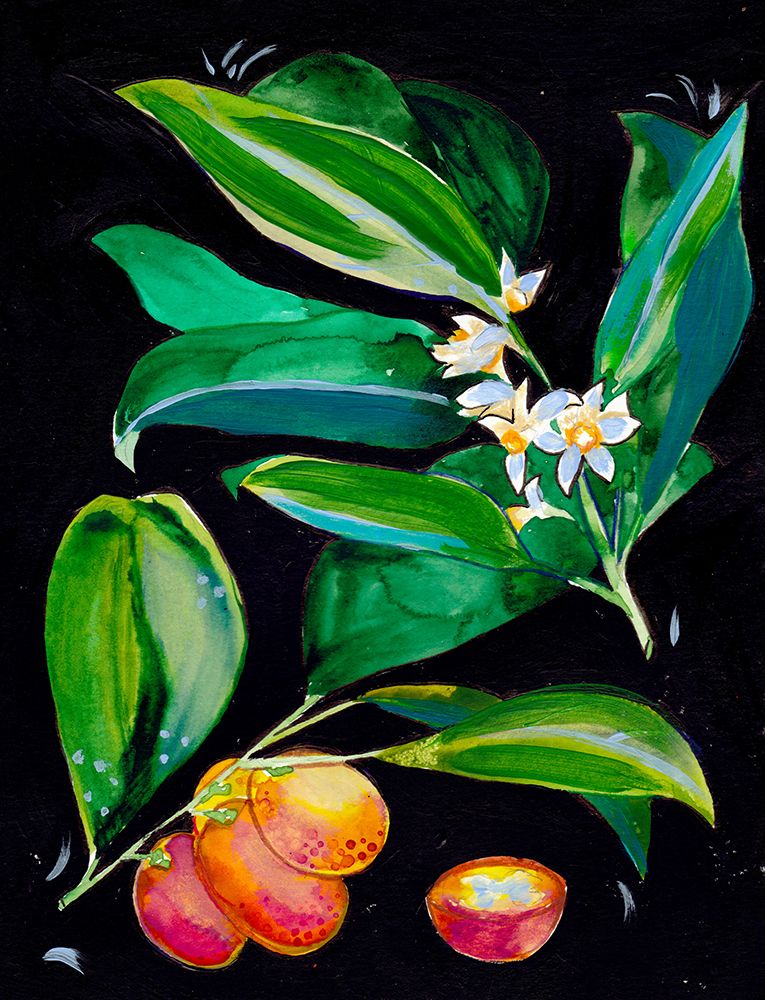 Kumquat Small art print by Christine Lindstrom for $57.95 CAD