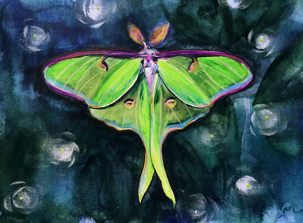 Luna Moth1 art print by Christine Lindstrom for $57.95 CAD