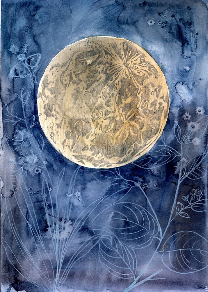 Moon Garden Small art print by Christine Lindstrom for $57.95 CAD