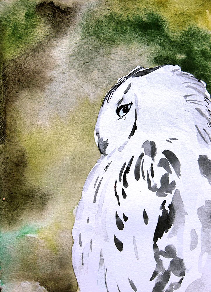 Owl art print by Christine Lindstrom for $57.95 CAD