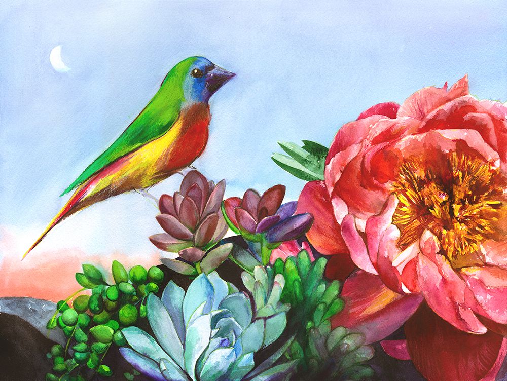 Parrot Finch In a Desert Garden Small art print by Christine Lindstrom for $57.95 CAD