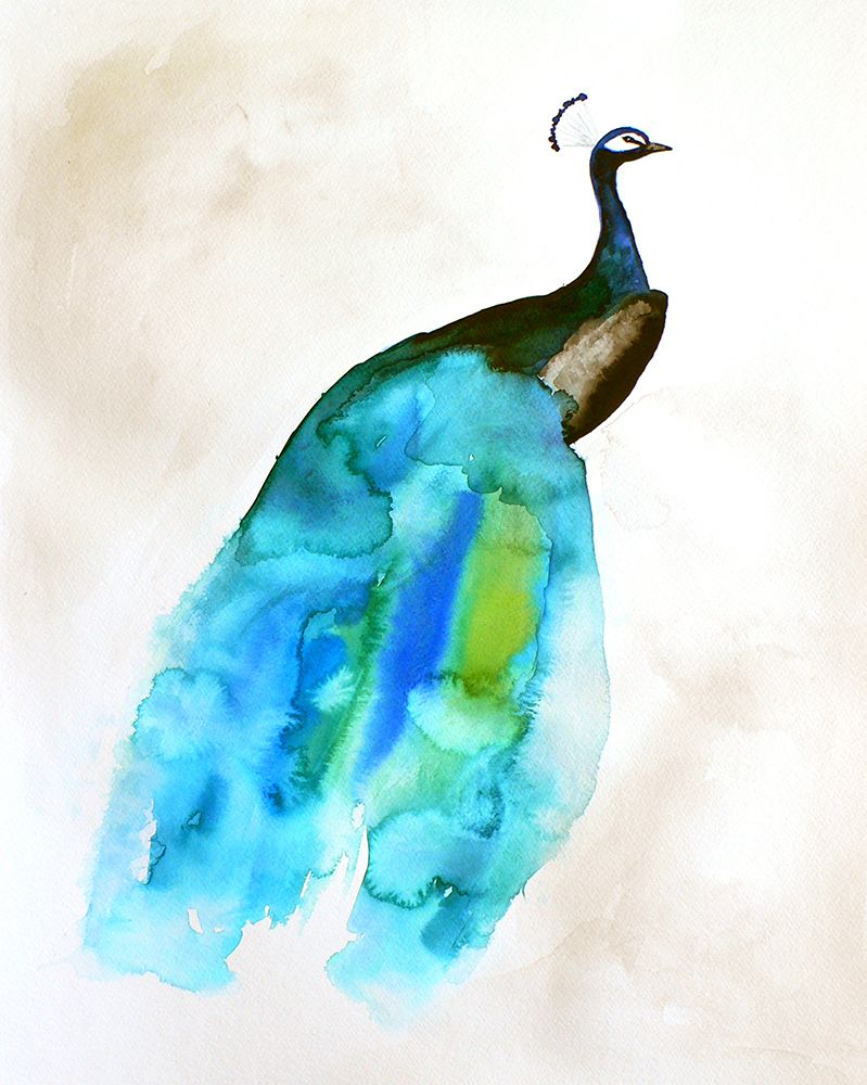 Peacock Ii art print by Christine Lindstrom for $57.95 CAD