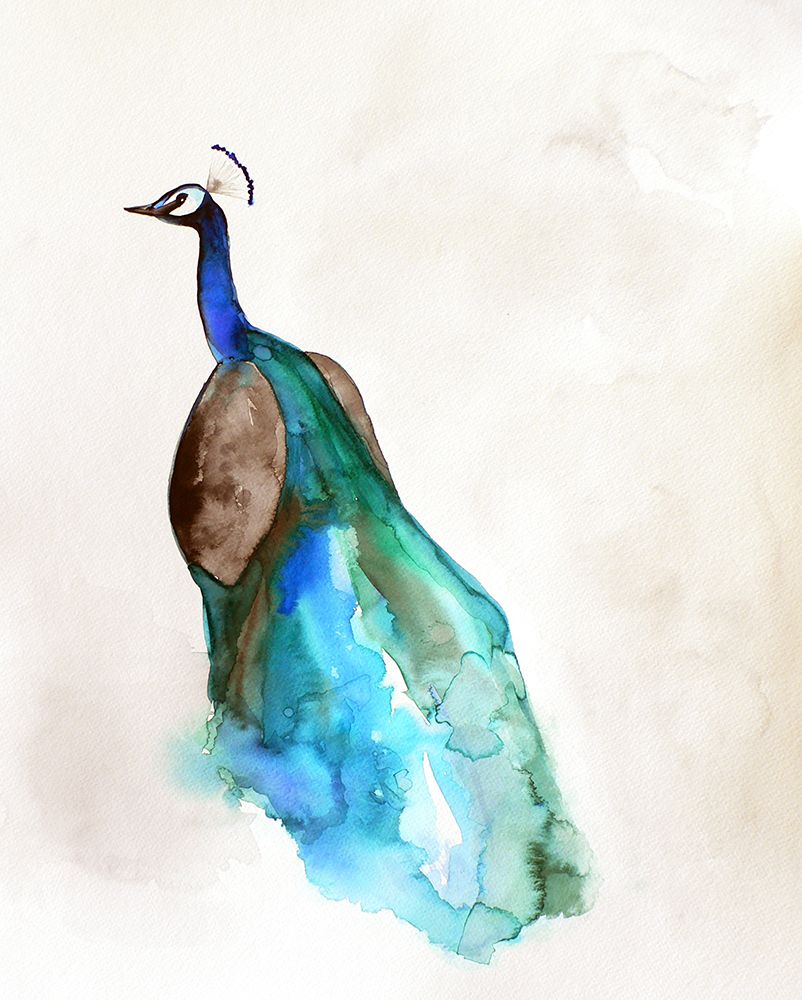 Peacock art print by Christine Lindstrom for $57.95 CAD