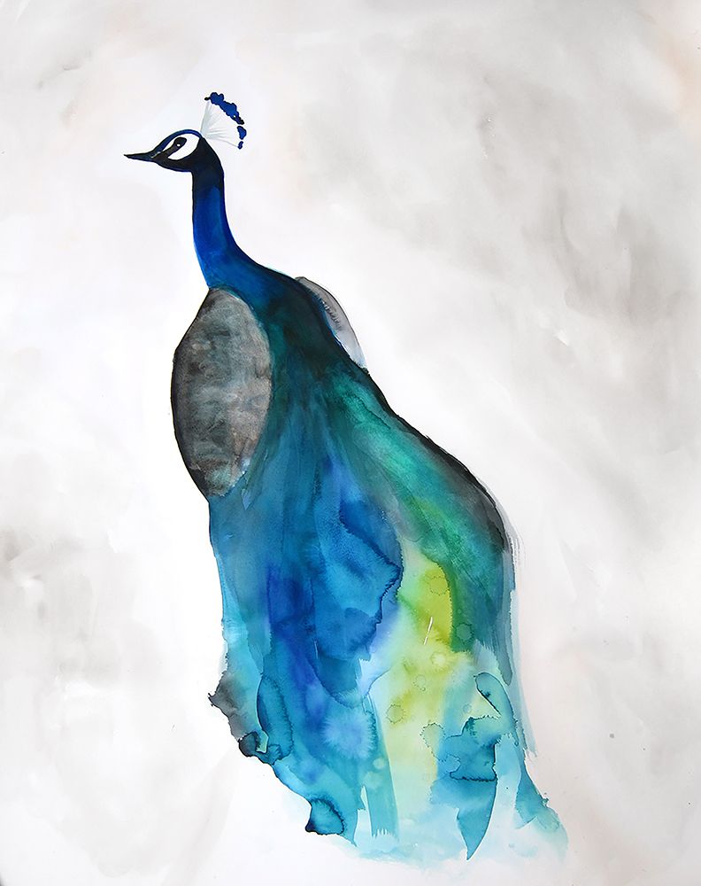 Peacockiv art print by Christine Lindstrom for $57.95 CAD