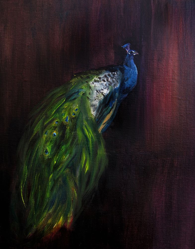 Peacockondark art print by Christine Lindstrom for $57.95 CAD