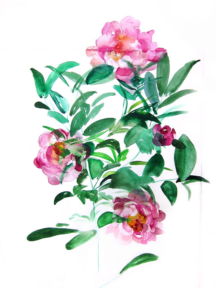 Peonies art print by Christine Lindstrom for $57.95 CAD