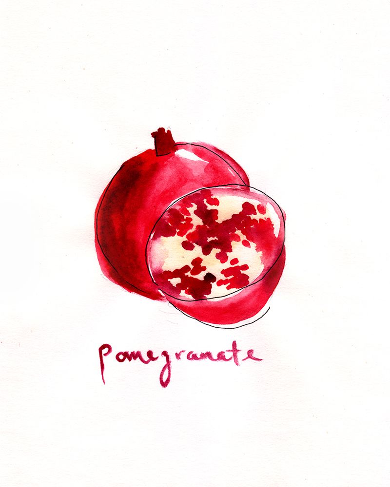 Pomegranate1 art print by Christine Lindstrom for $57.95 CAD