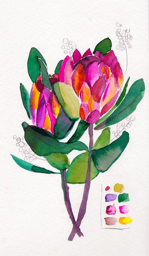 Protea Sketch Small art print by Christine Lindstrom for $57.95 CAD