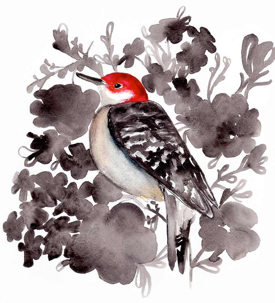 Red Bellied Woodpecker art print by Christine Lindstrom for $57.95 CAD