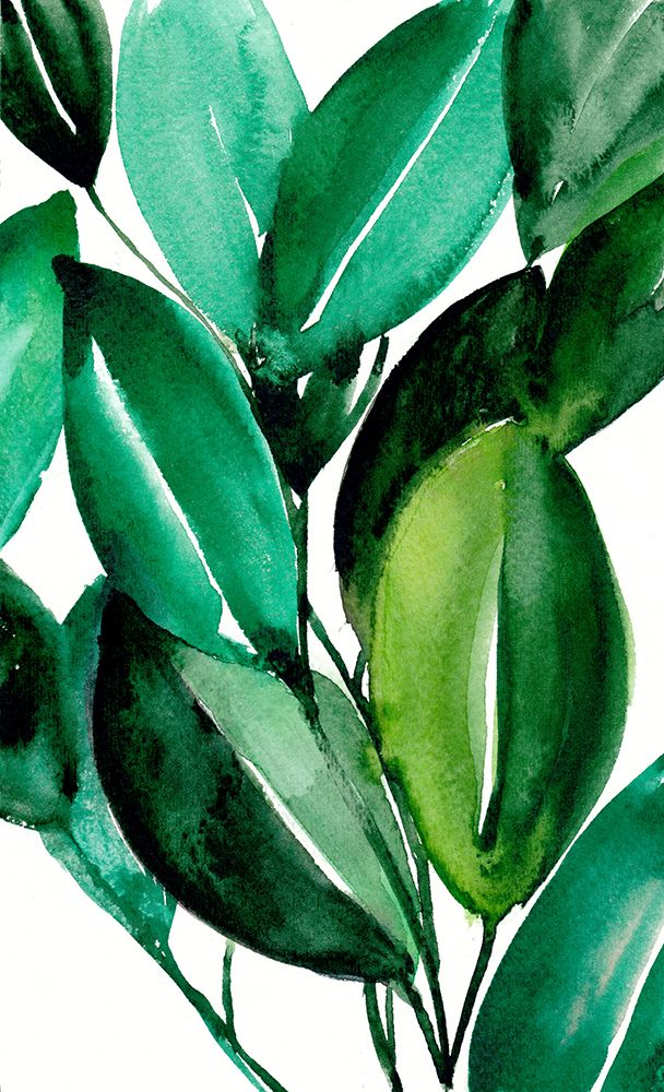 Rubber Tree Plant art print by Christine Lindstrom for $57.95 CAD