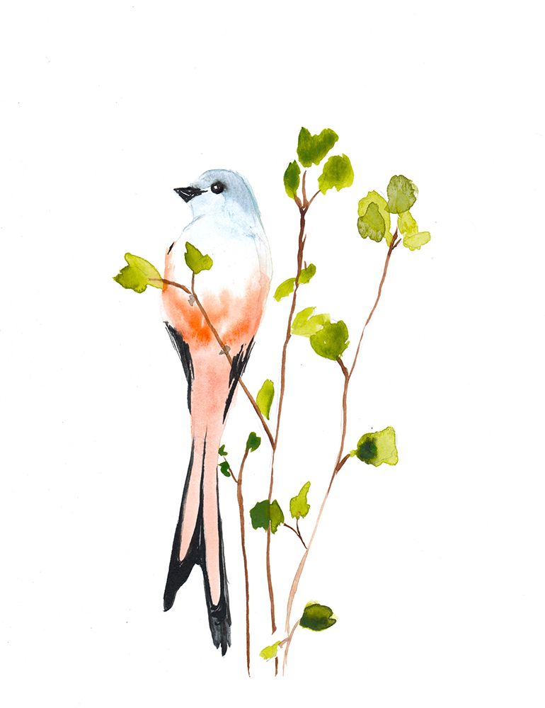 Scissortail Small art print by Christine Lindstrom for $57.95 CAD